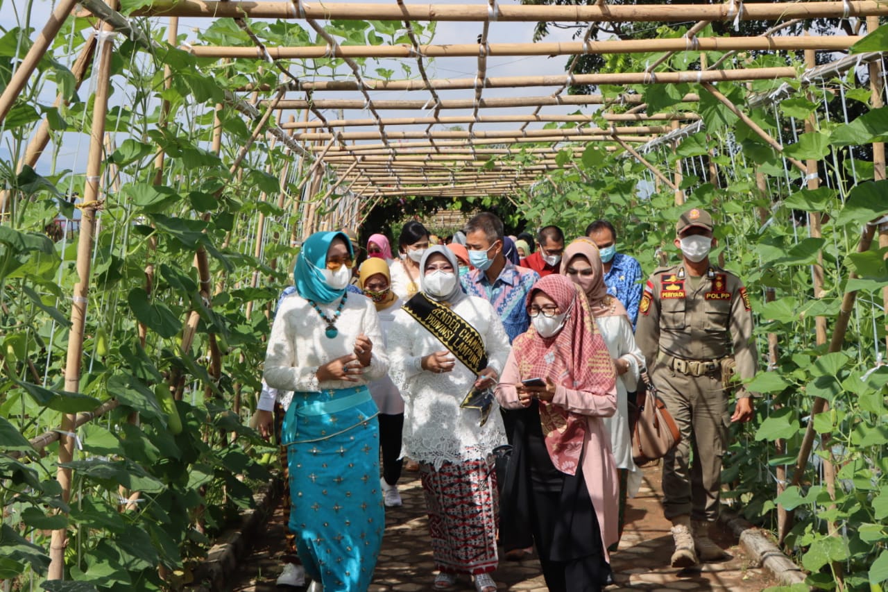 Gubernur Lampung Hadiri Peringatan Hari Ibu Ke-92 Dan Hari Kesetiakawanan Sosial Nasional Tahun 2020