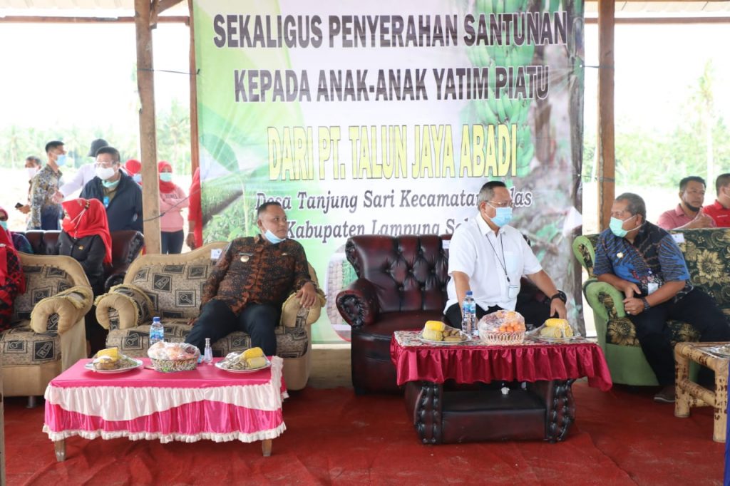 Tanam Perdana, Nanang Harap Pisang Barangan Merah Jadi Komoditi Unggulan Di Lamsel