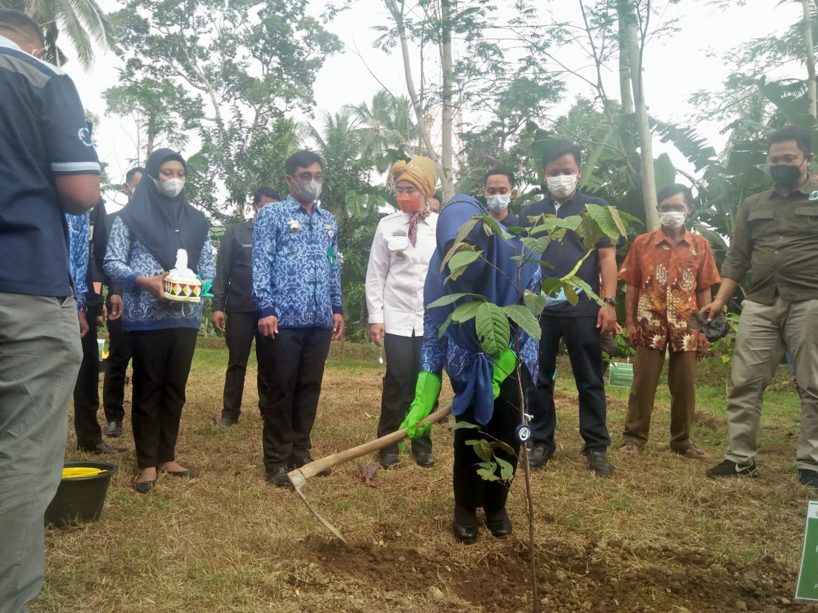 Bupati Tanggamus Meresmikan Taman Kehati