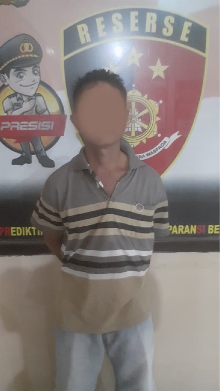 Setubuhi Anak Tiri, Polsek Panjang Tangkap Pria pekerja Srabutan